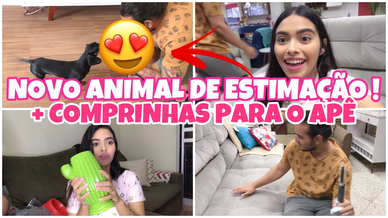 COMPRINHAS PARA O AP&Ecirc; NOVO + NOSSO NOVO ANIMAL DE ESTIMA&Ccedil;&Atilde;O!| Lidiane P&iacute;cculi