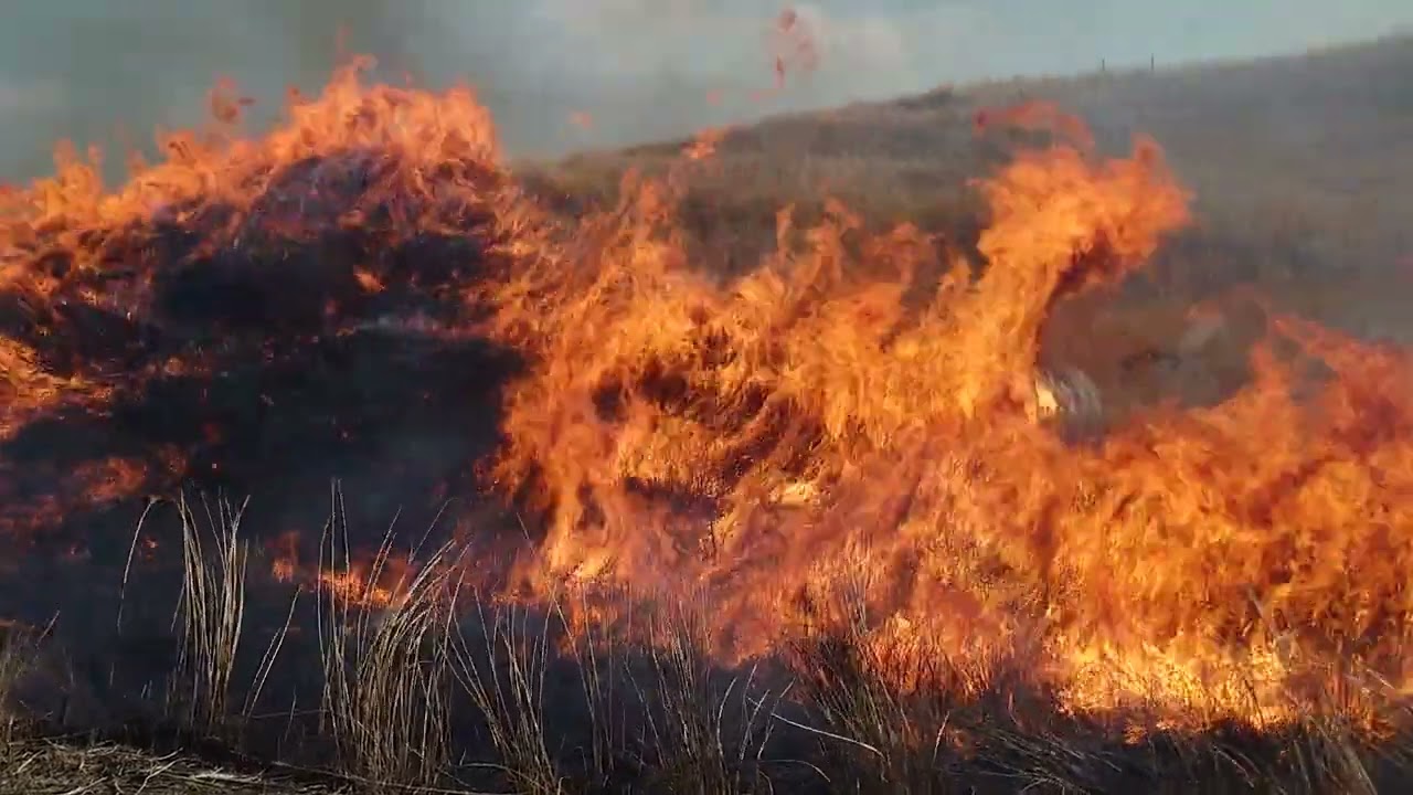 【熊本県】　阿蘇の野焼き　　２０２４年３月３日 Vol①　#野焼き#阿蘇#熊本県#fire