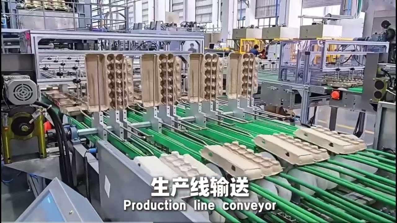 Paper egg box production line