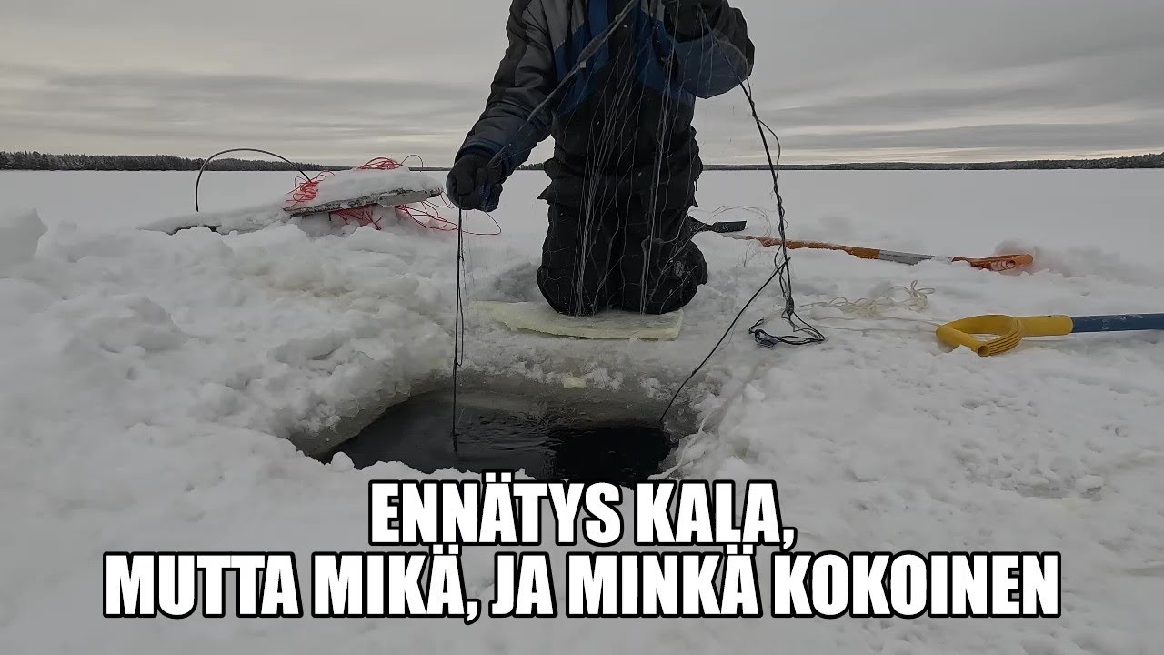 ENNÄTYSKALA, TULEHAN KATSOMAAN.