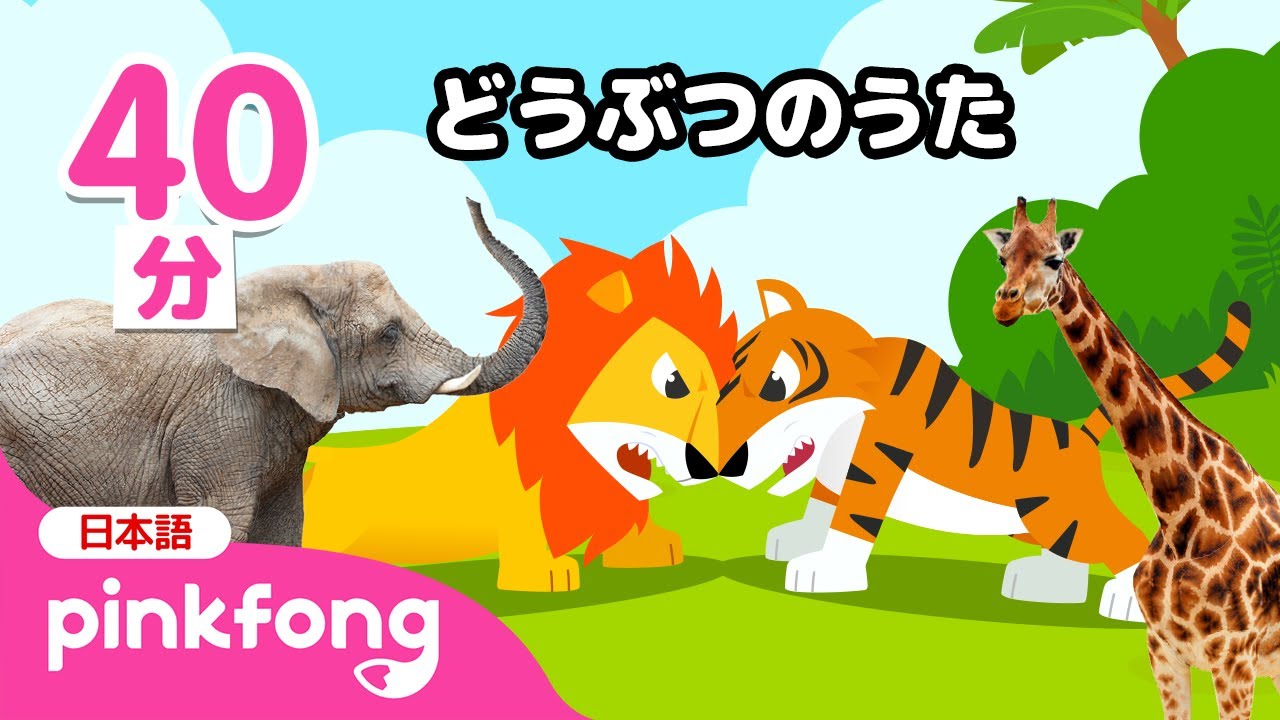 ようこそ！どうぶつのせかい🦁🐘 | 楽しく歌いながらどうぶつのなまえを覚えよう！ | 子どもの歌 | ベイビーシャークとピンキッツ