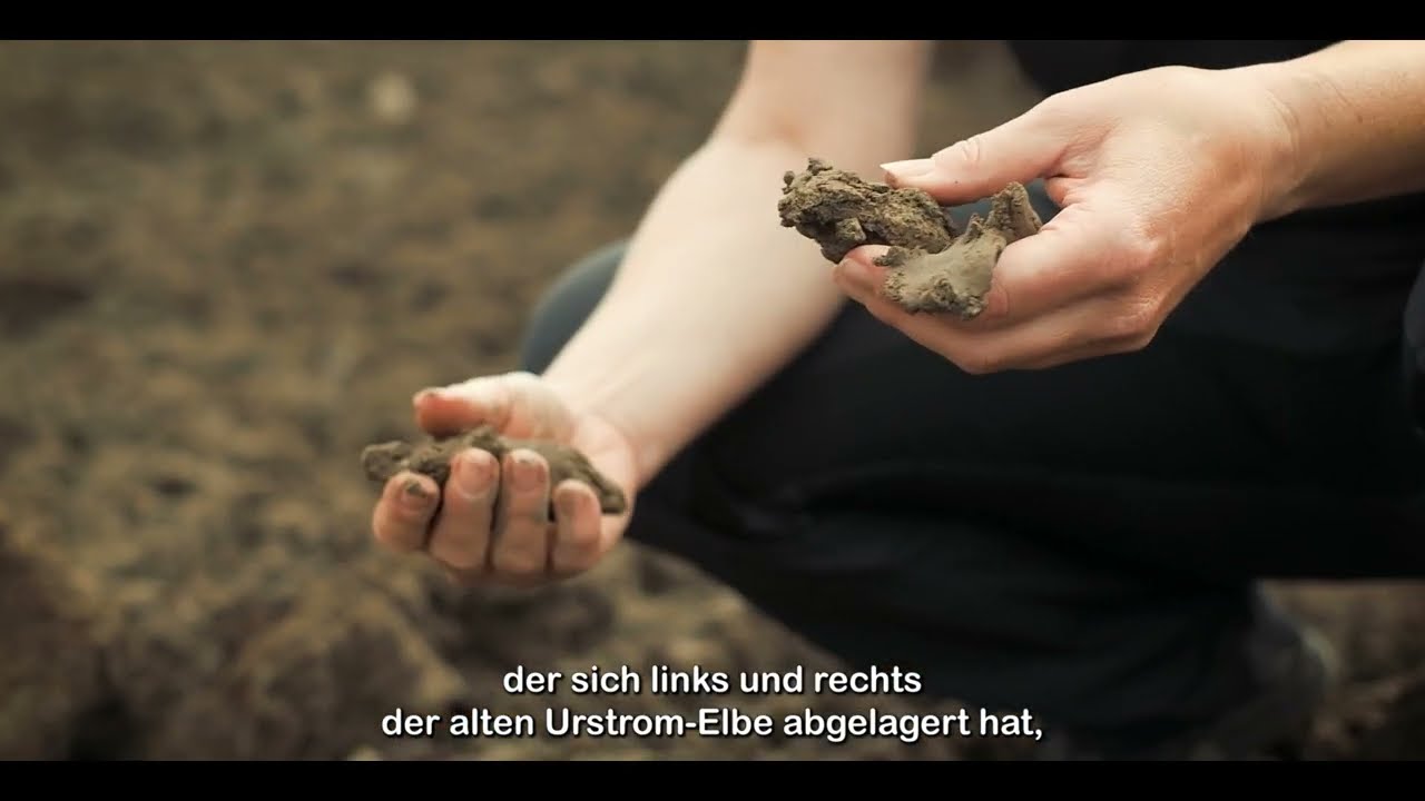 Klinker Ziegel aus Gl&uuml;ckstadt: Grenzenlose Vielfalt von Vandersanden
