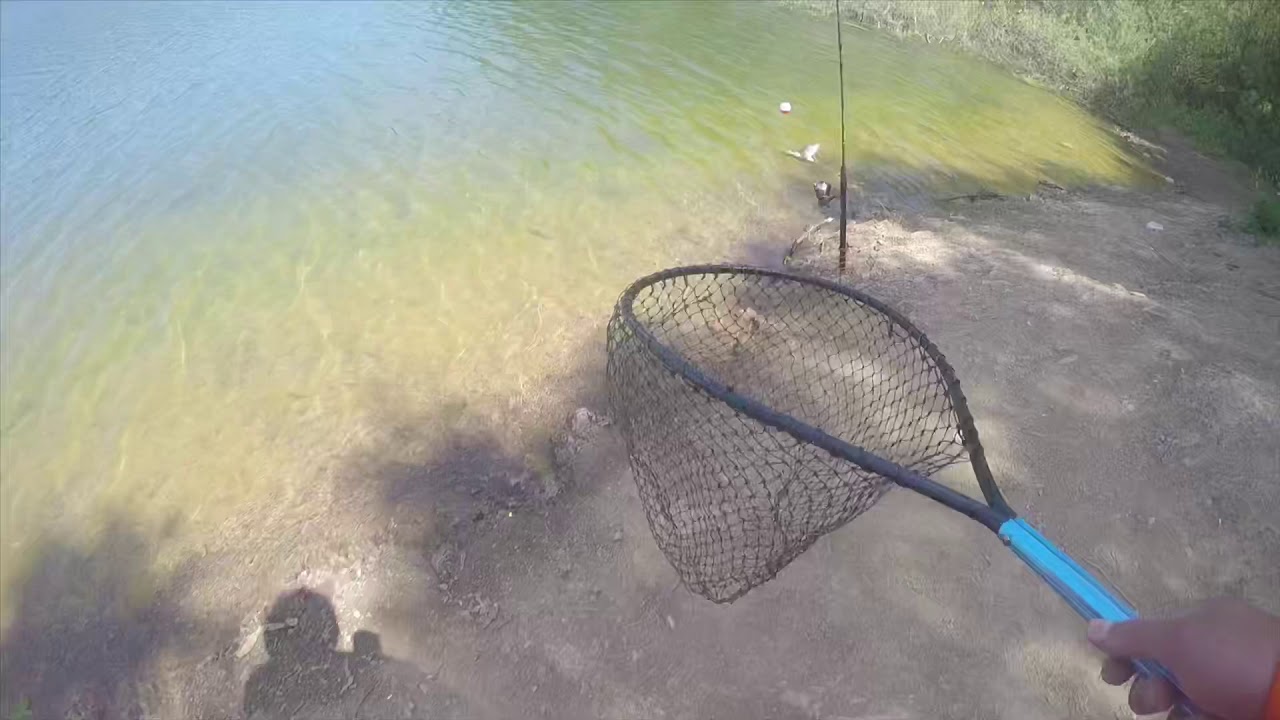Lake Chabot Trout Fishing with ( Simo and Rick )