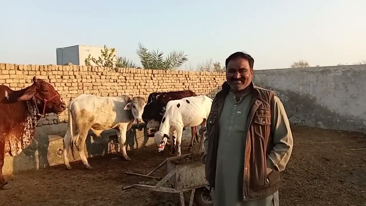 https://www.youtube.com/@MuhammadShahnawaz10