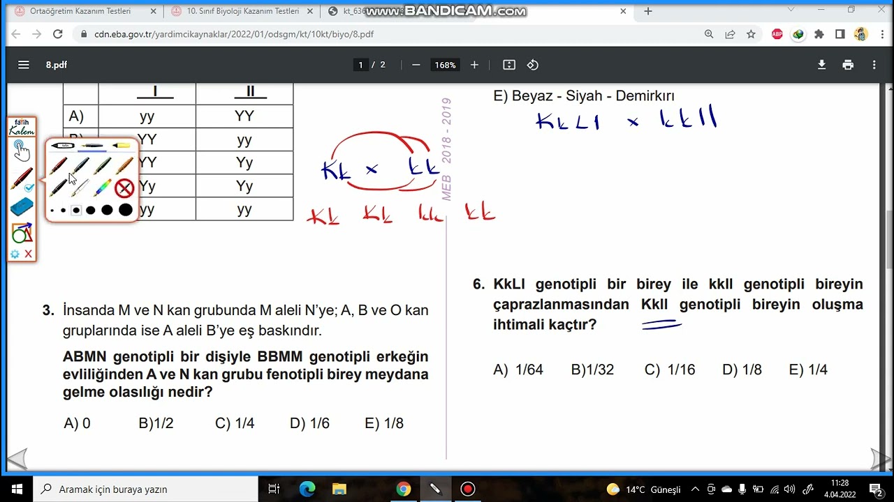 8)10.SINIF BİYOLOJİ- MEB KAZANIM TESTİ 8 (KALITIM 3 - (5 ve 6 sorusu))
