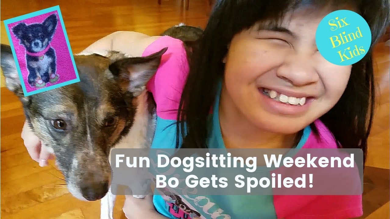 SixBlindKids - Fun Dogsitting Weekend - Bo Gets Spoiled!
