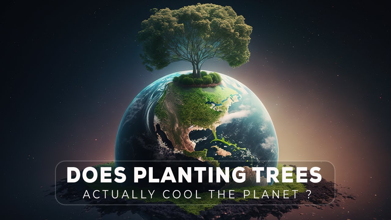 Does Planting Trees 🌳 Actually Cool the Planet? 🌍❄️