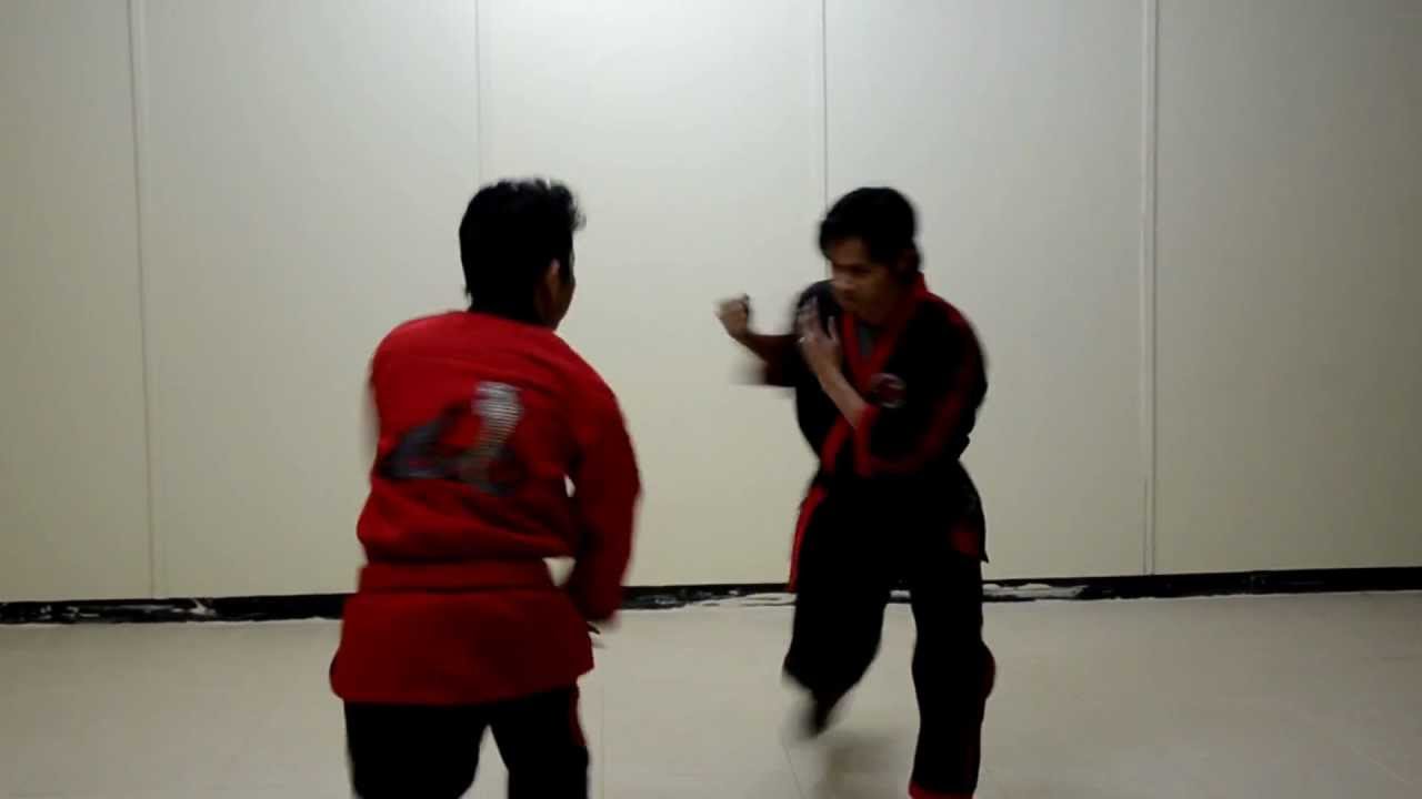Mongoose-Cobra Punch Defense