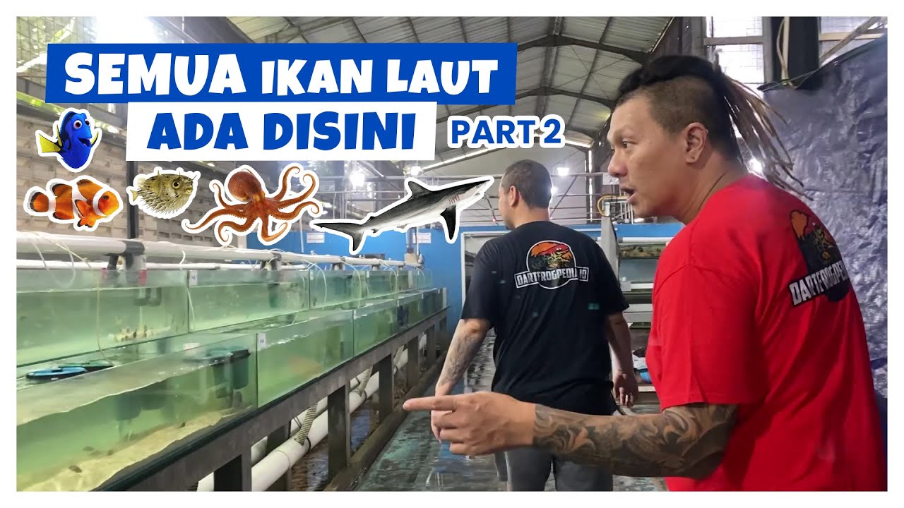 GREBEK TEMPAT BUDIDAYA IKAN LAUT TERSEMBUNYI || LENGKAP BANGET ISINYA !!!