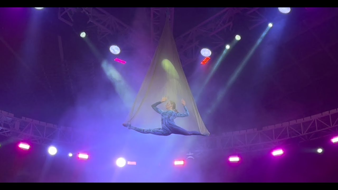 Aerial net