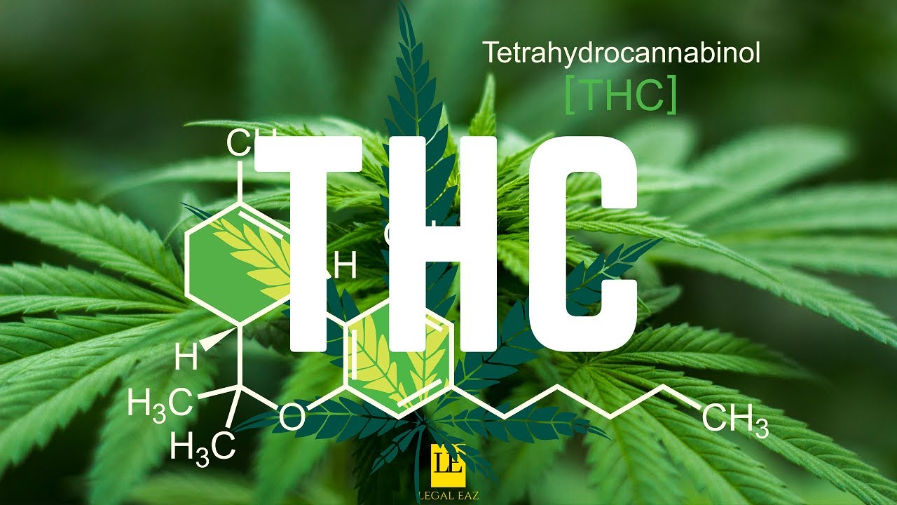 What is THC (Tetrahydrocannabinol)?