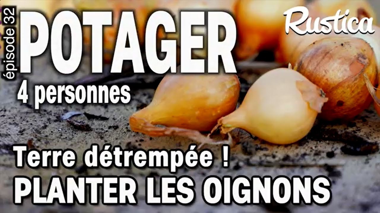 Potager pour 4 personnes : épisode 32 Planter des oignons dans un sol argileux