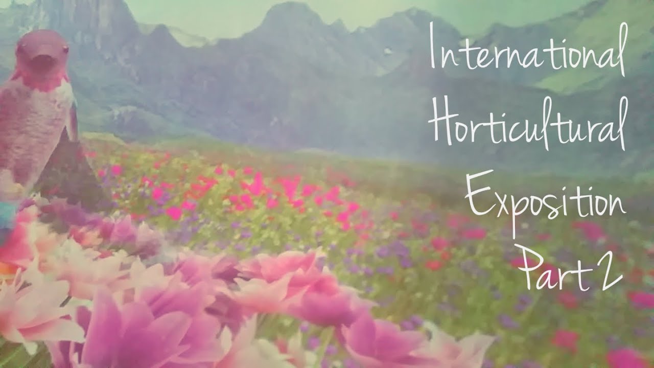 INTERNATIONAL HORTICULTURAL EXPOSITION PART 2 | VLOG | Betty Wolfgram