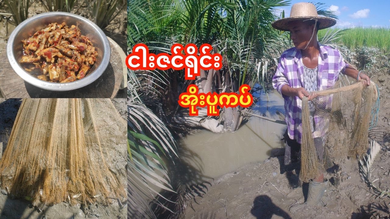ကွန်ပစ်ရင်ရလားတဲ့ ငါးဇင်ရိုင်းအိုးပူကပ်