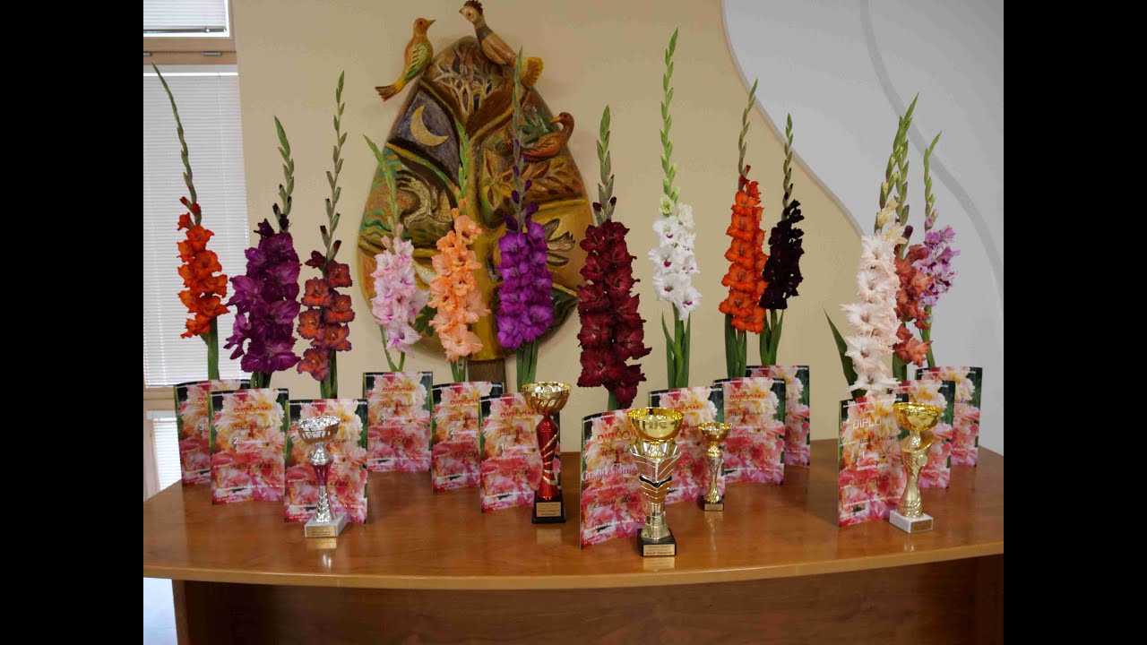 Výstava Gladiol Rajecké Teplice 2025