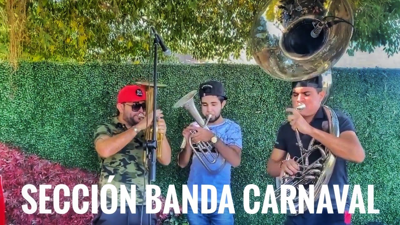 Armonías de la Carnaval (Theo, Cacho y Alan)