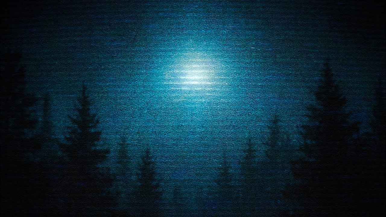 MISTERIÖSE SICHTUNGEN IM WALD | The Strange Lights