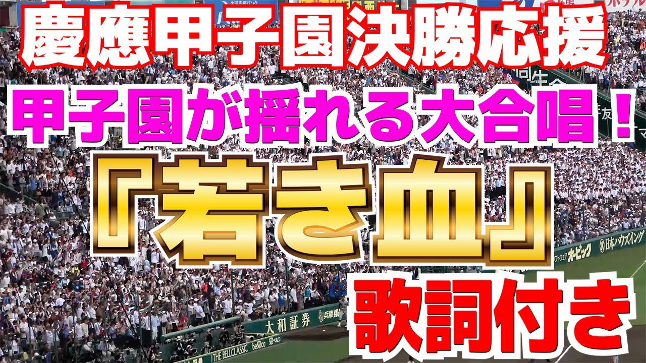 慶應　若き血　歌詞付き　甲子園決勝　　慶應100年に1度の超本気が凄すぎた！　甲子園中が揺れる若き血は圧巻！【高校野球　応援　決勝　 仙台育英 vs 慶應義塾】2023.8.23