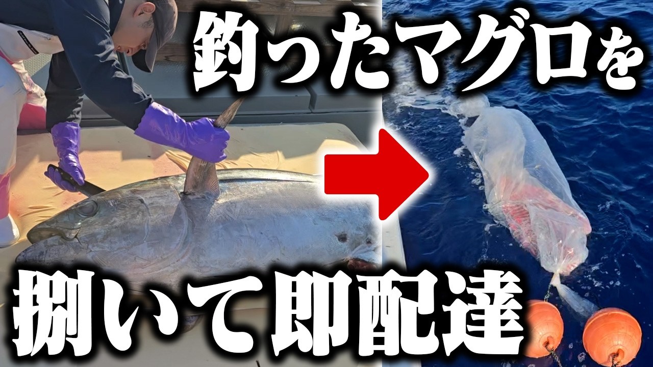 捌いたマグロを流してみた。