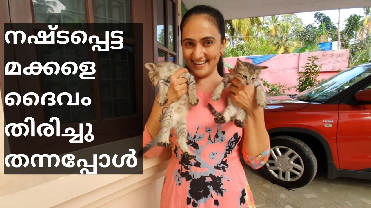 നഷ്ട്ടപെട്ടു എന്ന് കരുതിയ എന്റെ രണ്ടു മക്കളെയും ദൈവം തിരിച്ചു തന്നു
