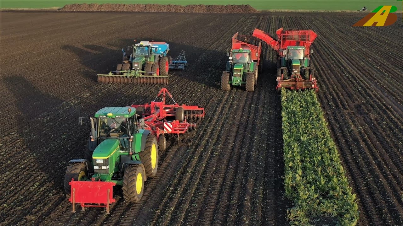 Rübenernte in der Hildesheimer Börde - Lohnunternehmen HüMaF im Ernteeinsatz - Sugarbeet harvesting