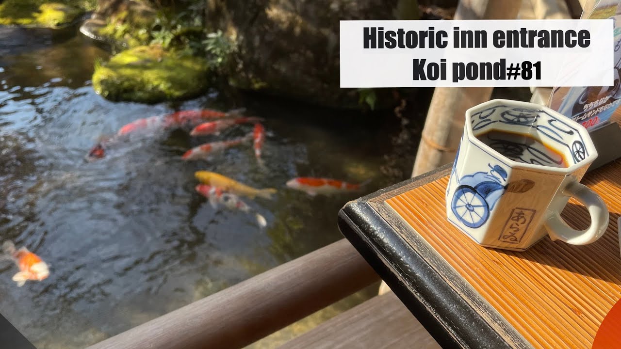 Entrance koi pond at historic inn.(Arai ryokan inn, Shuzenji, Izu, Shizuoka)新井旅館（伊豆、修善寺）