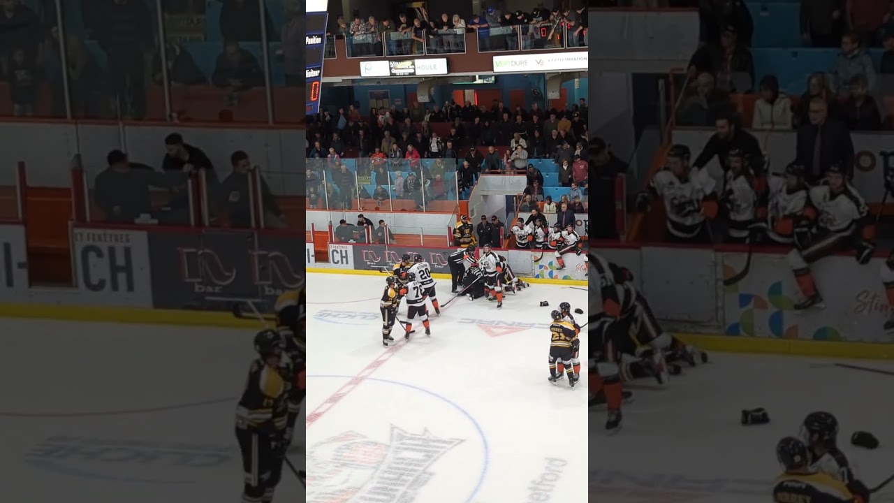 Hockey player jump the opposing bench! #hockey #hockeyfight #qc #lnah #Brawl #BenchClearing #fight
