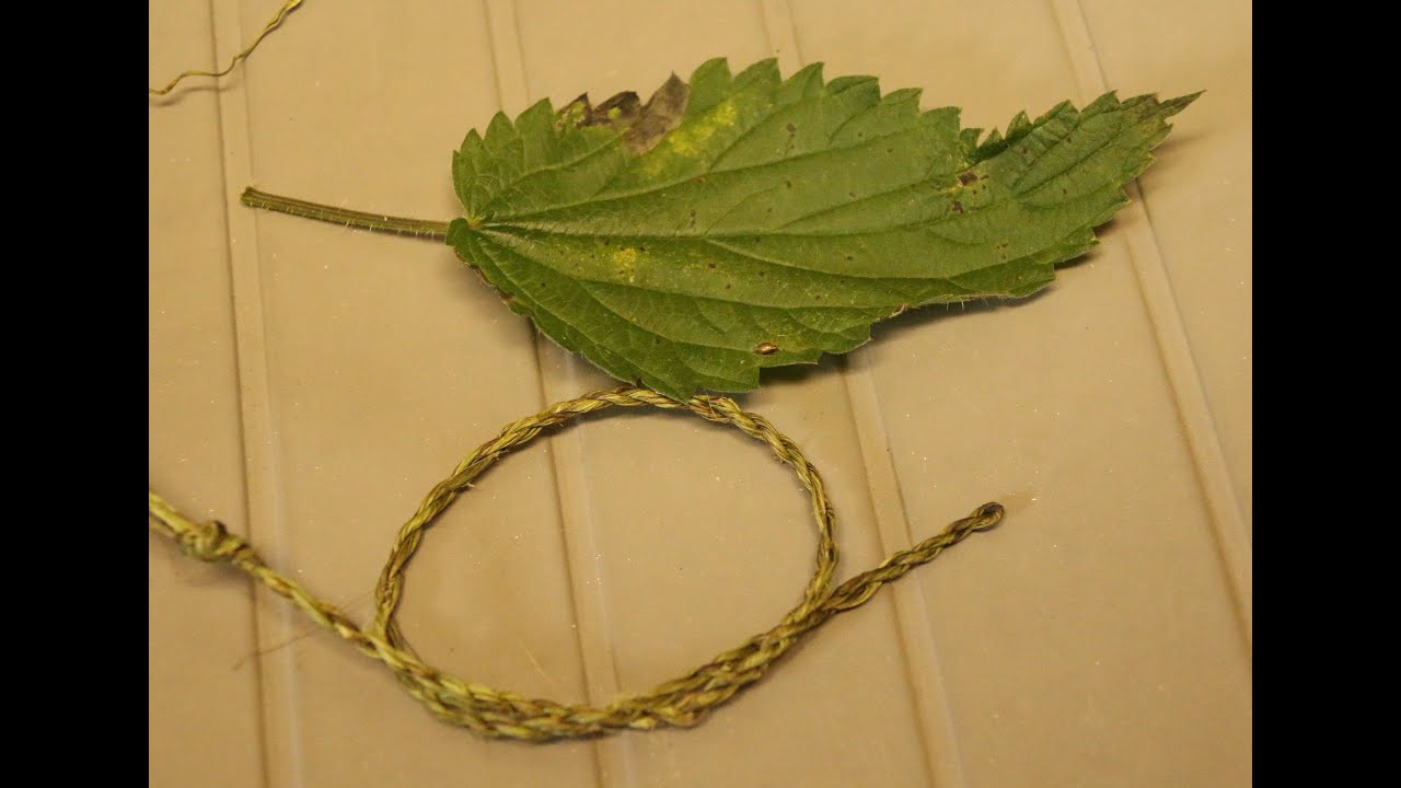 Ficelle naturelle en fibres d'orties