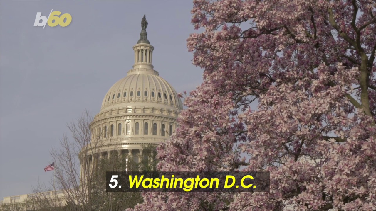 5 of the Most Beautiful Places to Travel to in Spring