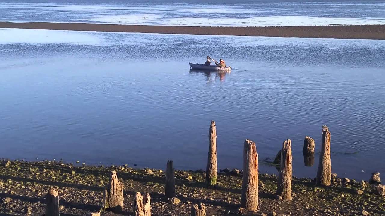 Ada at Willipa Bay
