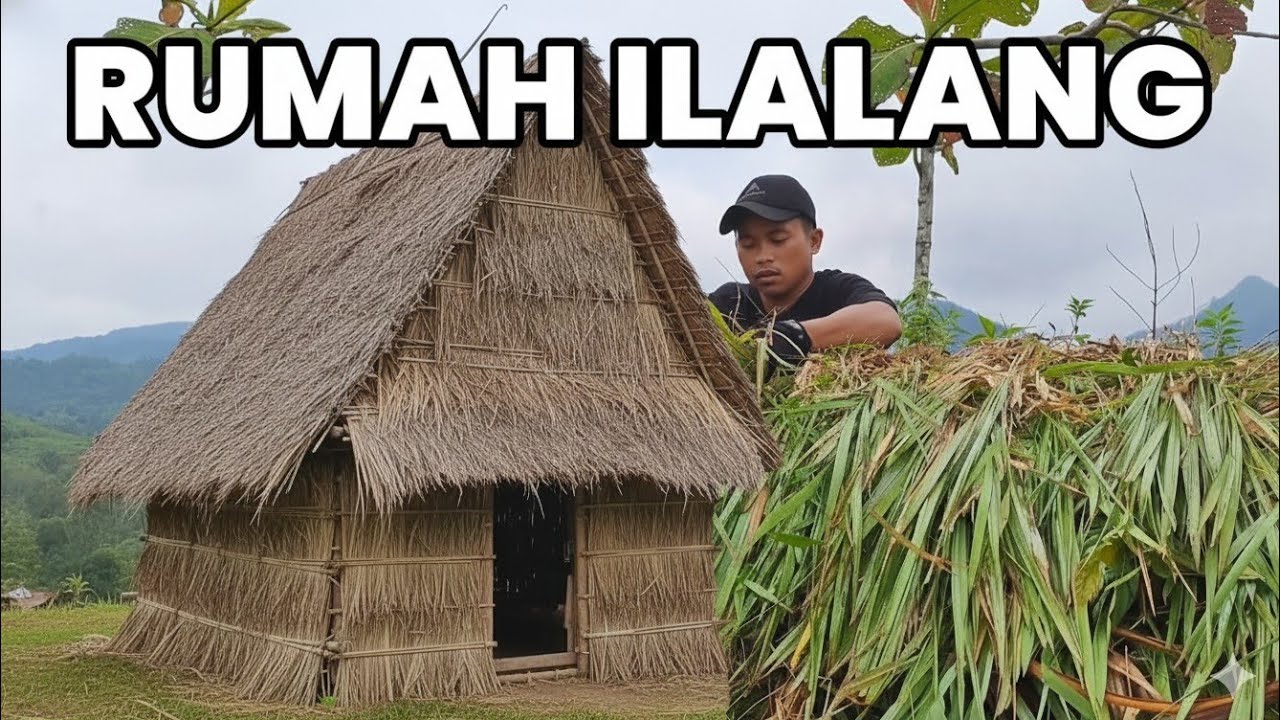 Solo bushcraft Membuat shelter dari ilalang sangatlah nyaman di huni