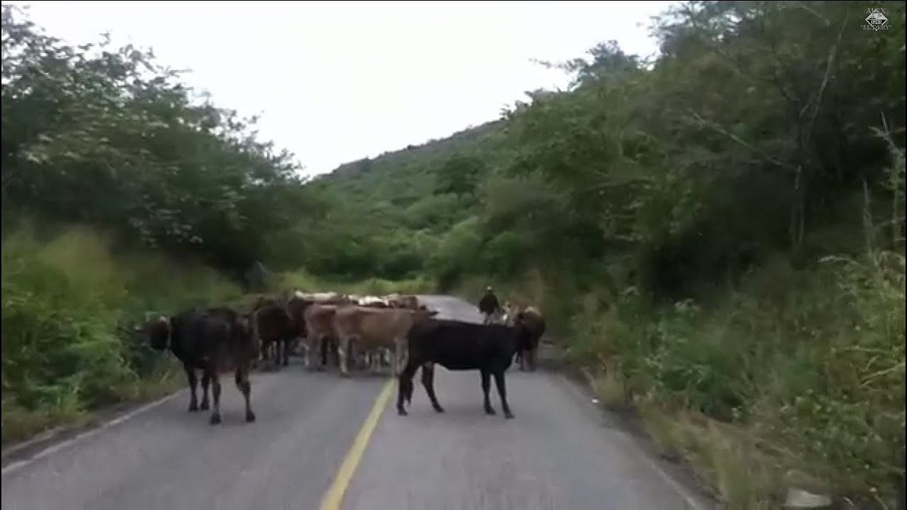 Subiendo a Coalcomán, Michoacán.