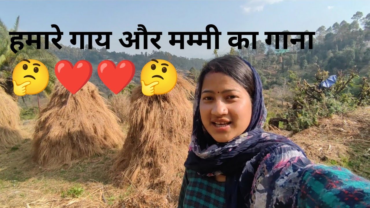 हमारे गाय कितनी है 🤔|| मम्मी ने कौन सा गाना गाया 🤷daily lifestyle vlog chitranshi kanyal vlogs 