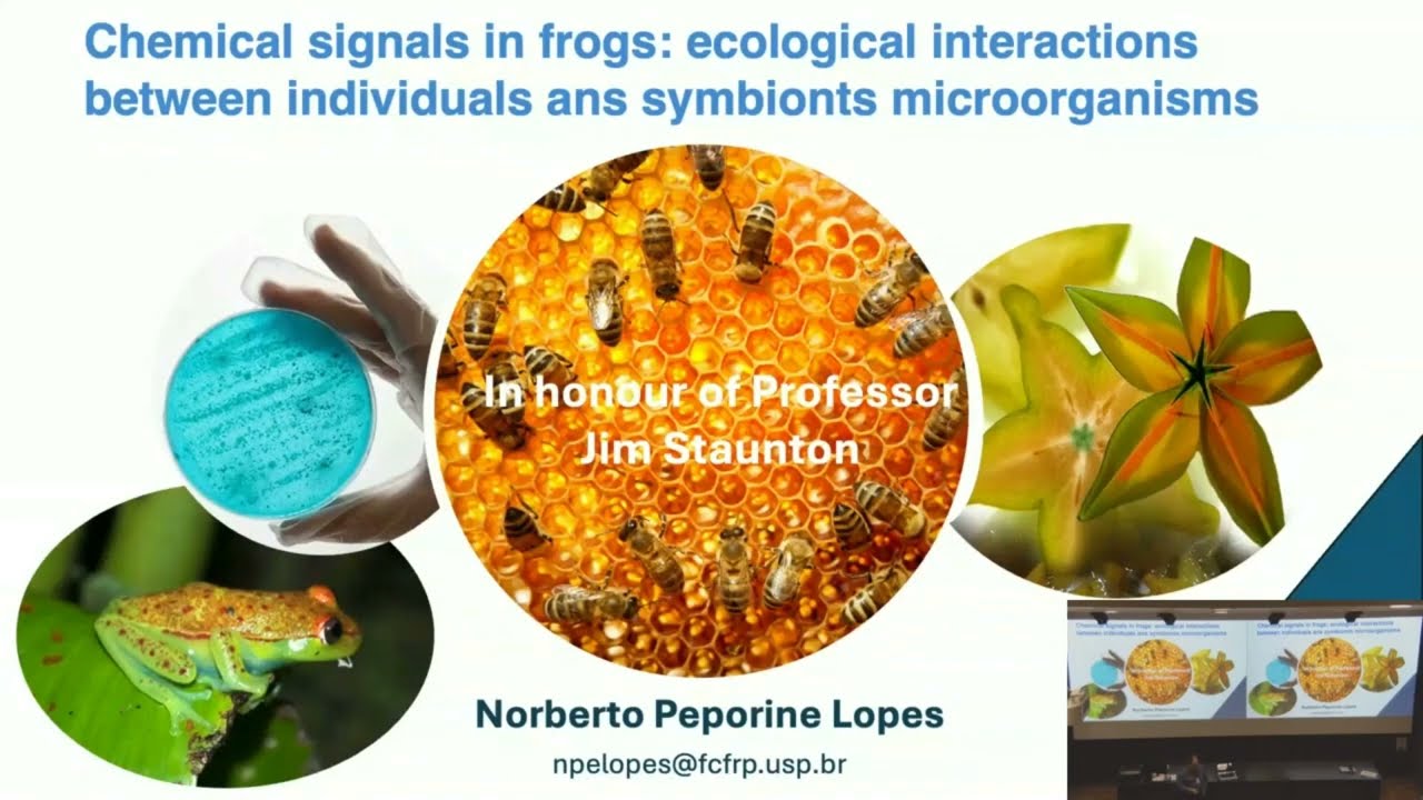 Staunton Memorial Symposium lectures: Norberto Lopes