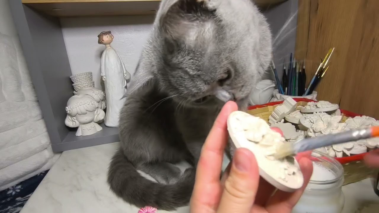 Quality Control Kitten ASMR 