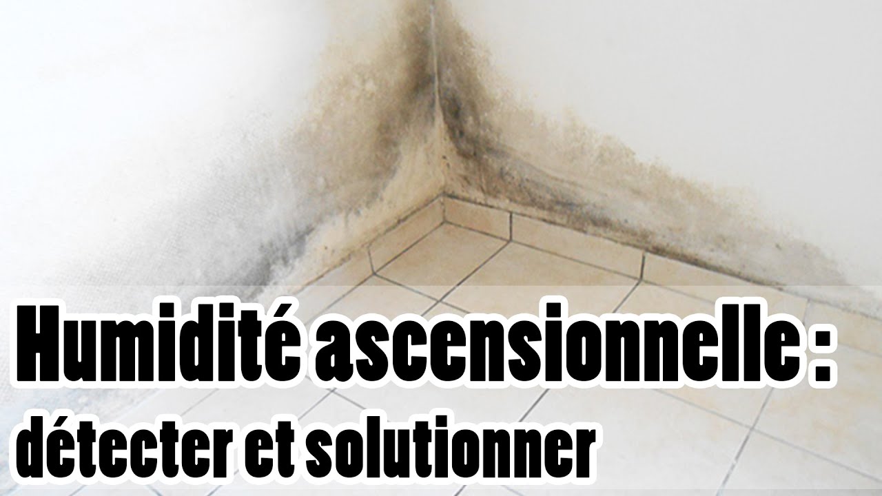 Humidité ascensionnelle : explications, identification et solutions
