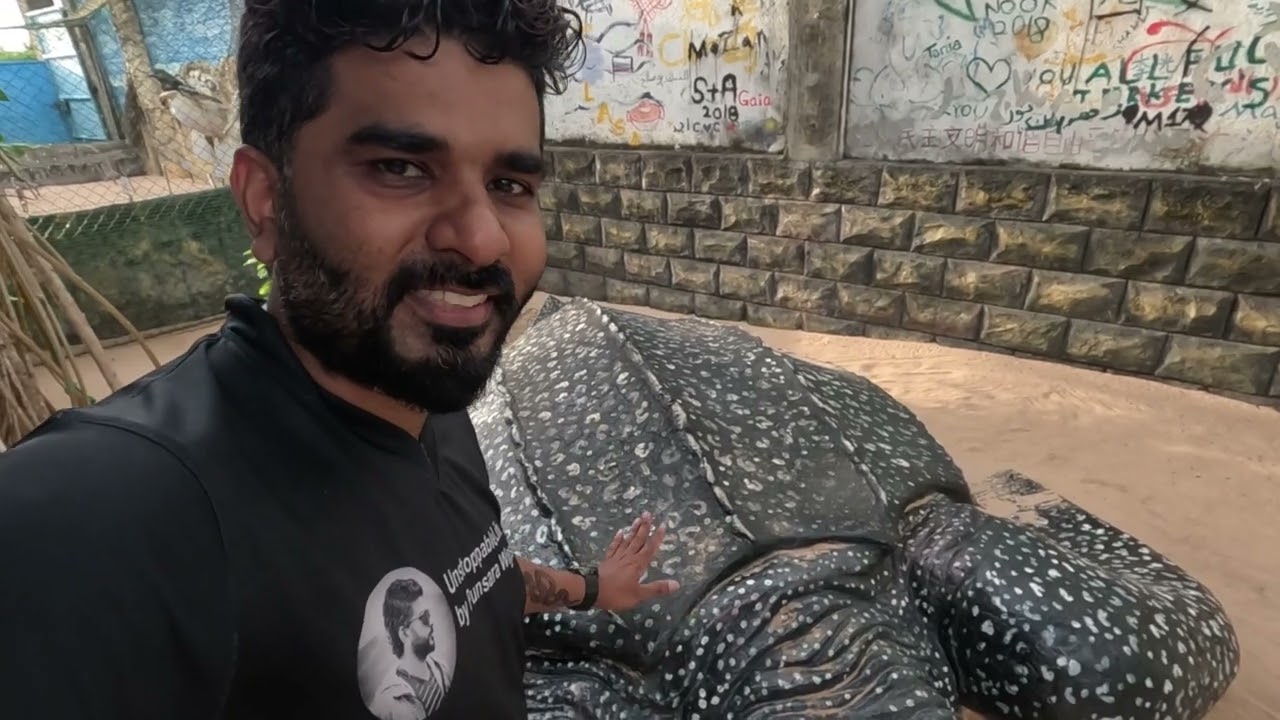 අහුන්ගල්ල කැස්බෑ සංරක්ෂණ මධ්‍යස්ථානය  | Ahungalle Sea Turtle Conservation Project | Places to Visit