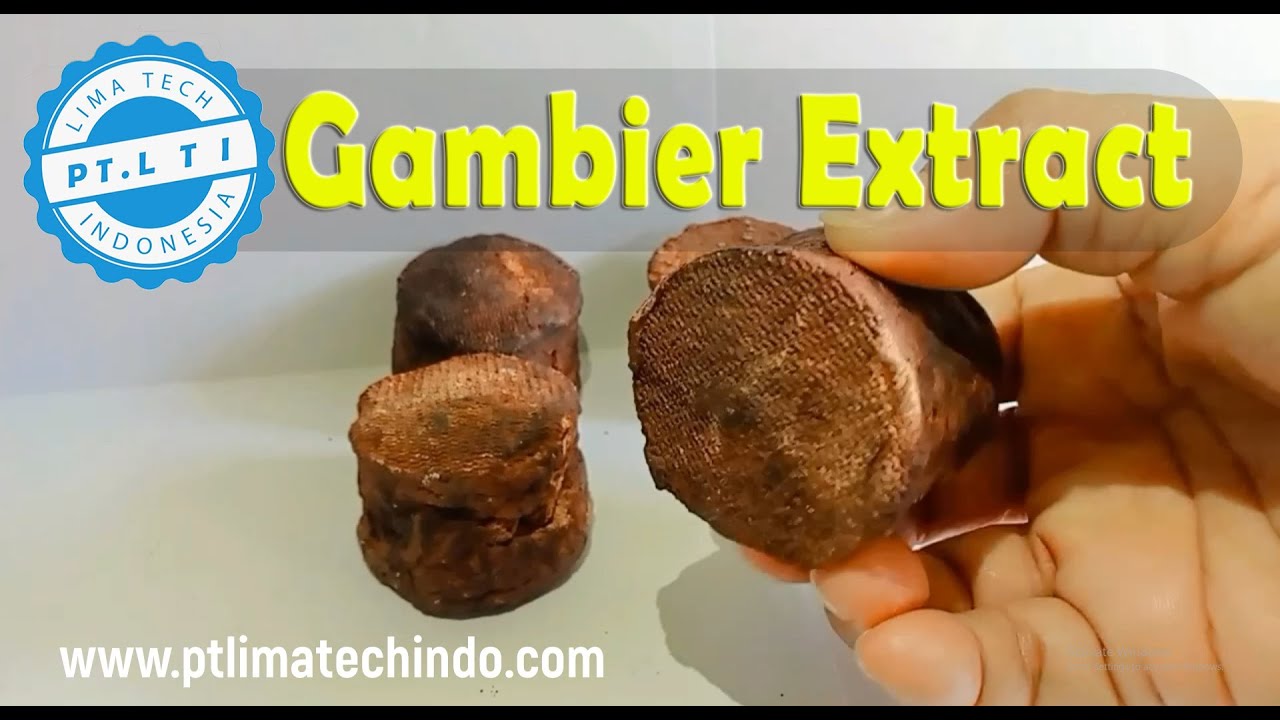 Gambier Extract Best Quality Sumatra No One in The World ( PT. Lima Tech Indo )