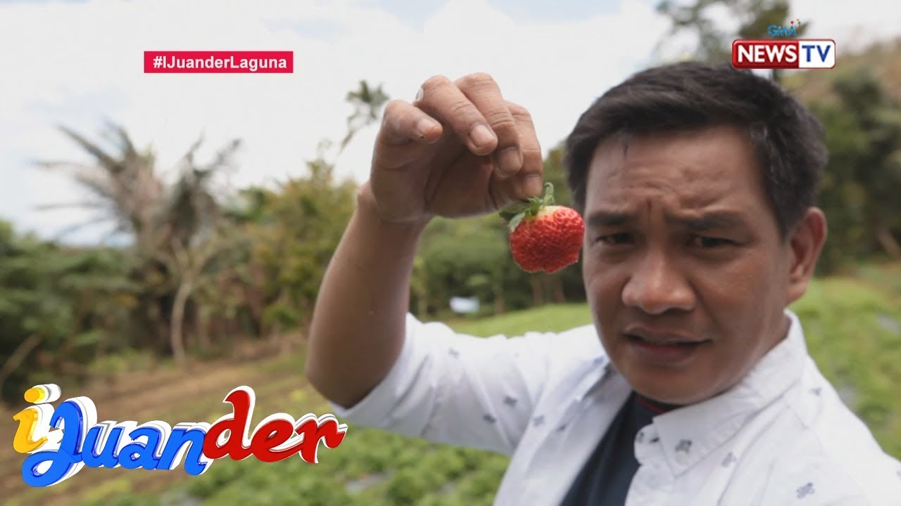 iJuander: Maaliw sa bayan ng Liliw, Laguna!
