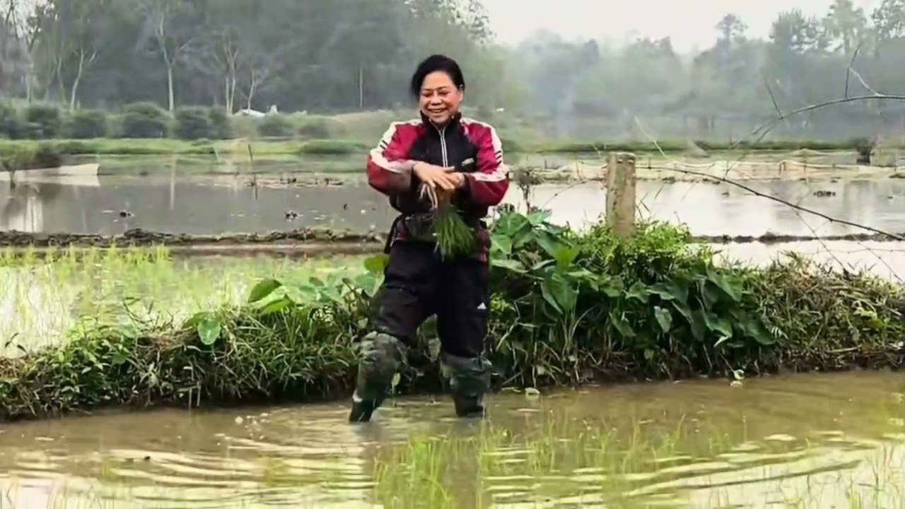 Hứa hẹn một vụ mùa bội thu.