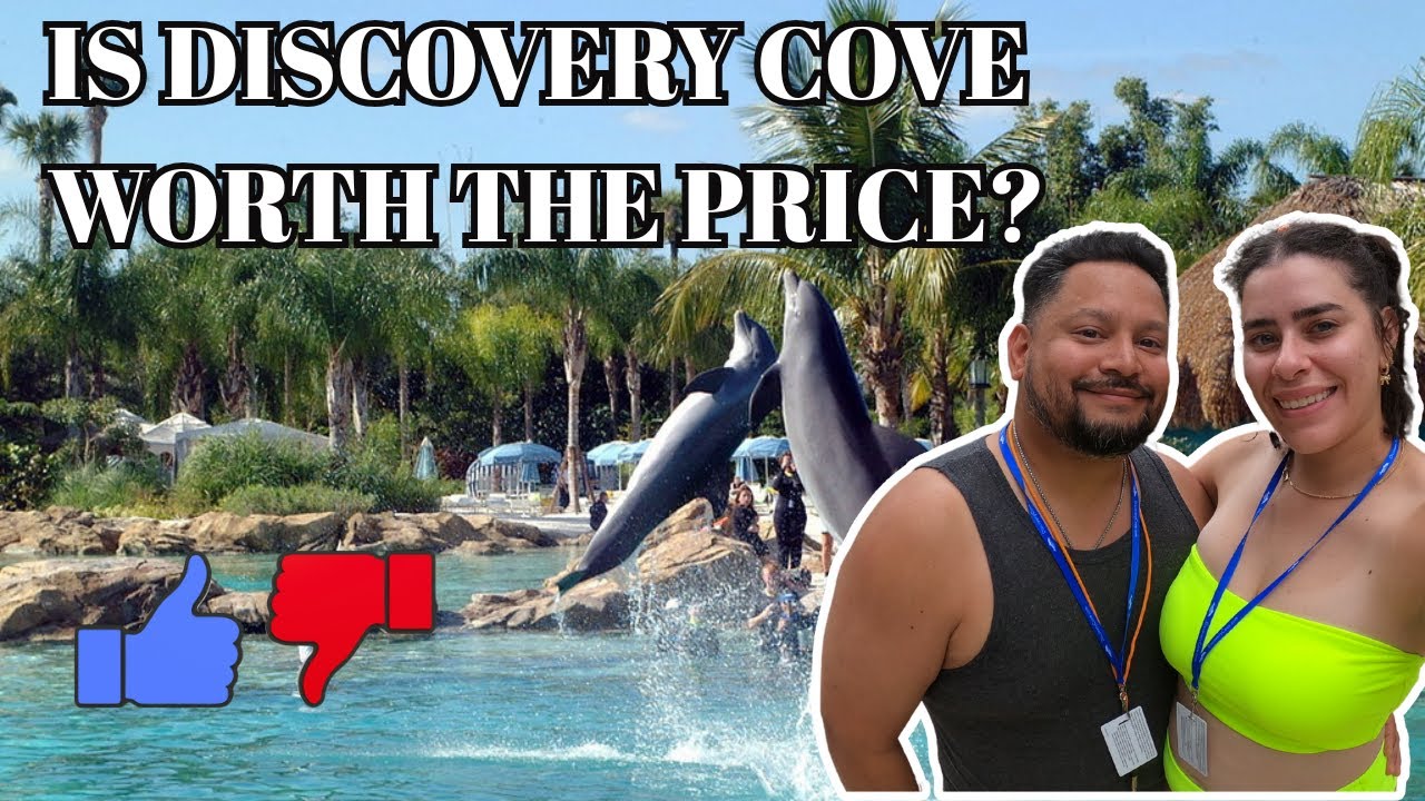 Is This Orlando's BEST Kept Secret?! (Discovery Cove)