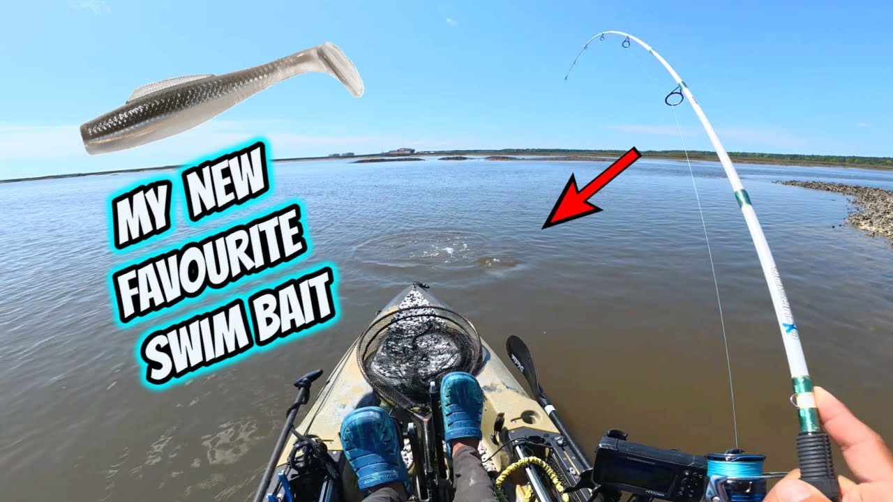 This Fishing Lure is Way Better Than I expected! Z-Man MinnowZ 