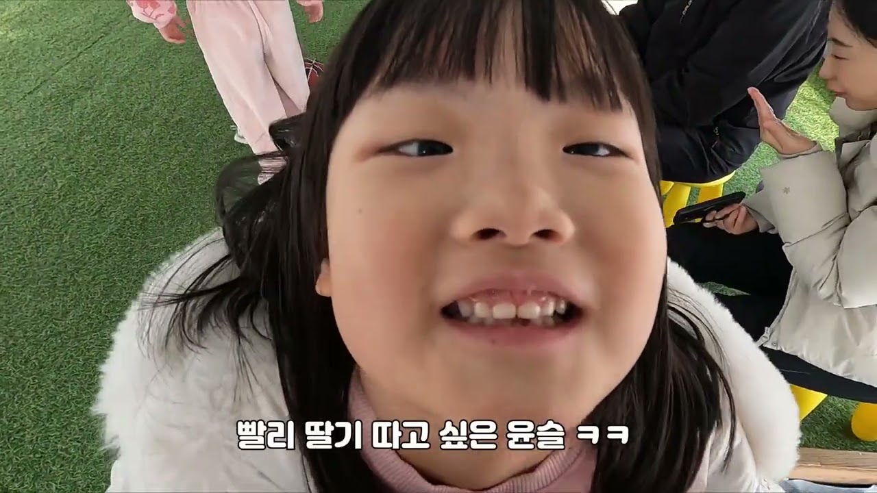 딸기체험 N번째 (동읍 창원농부)