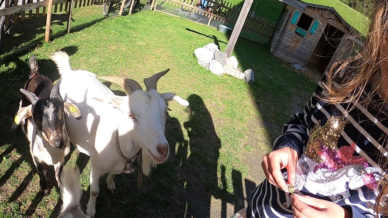 Lenzerheide area in Graubunden (Grisons), Switzerland, Aug 2020
