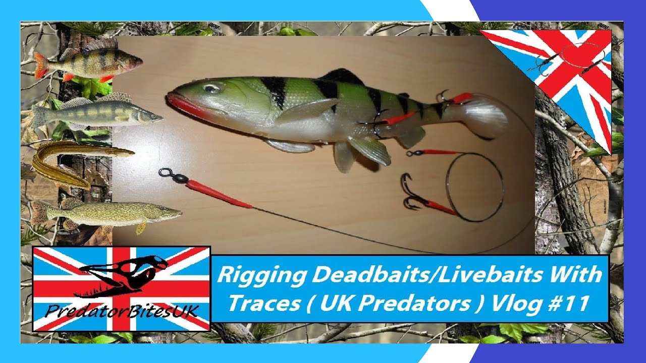 Vlog #11- Rigging Deadbaits/Livebaits With Traces (UK Predators) - PredatorBitesUK
