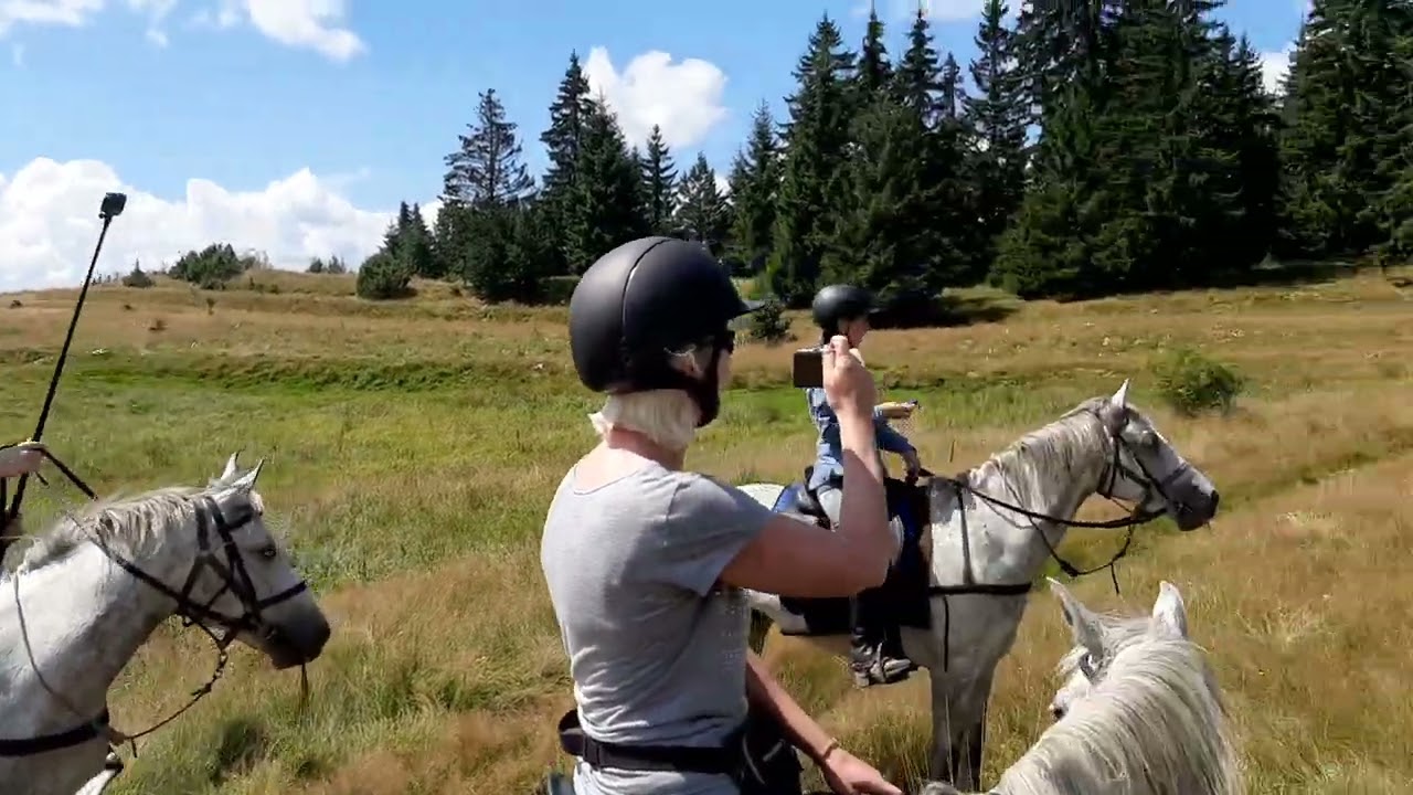 wild horses in bulgaria