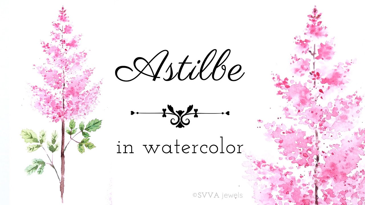 How to Watercolor: Lovely Pink Astilbe Plant