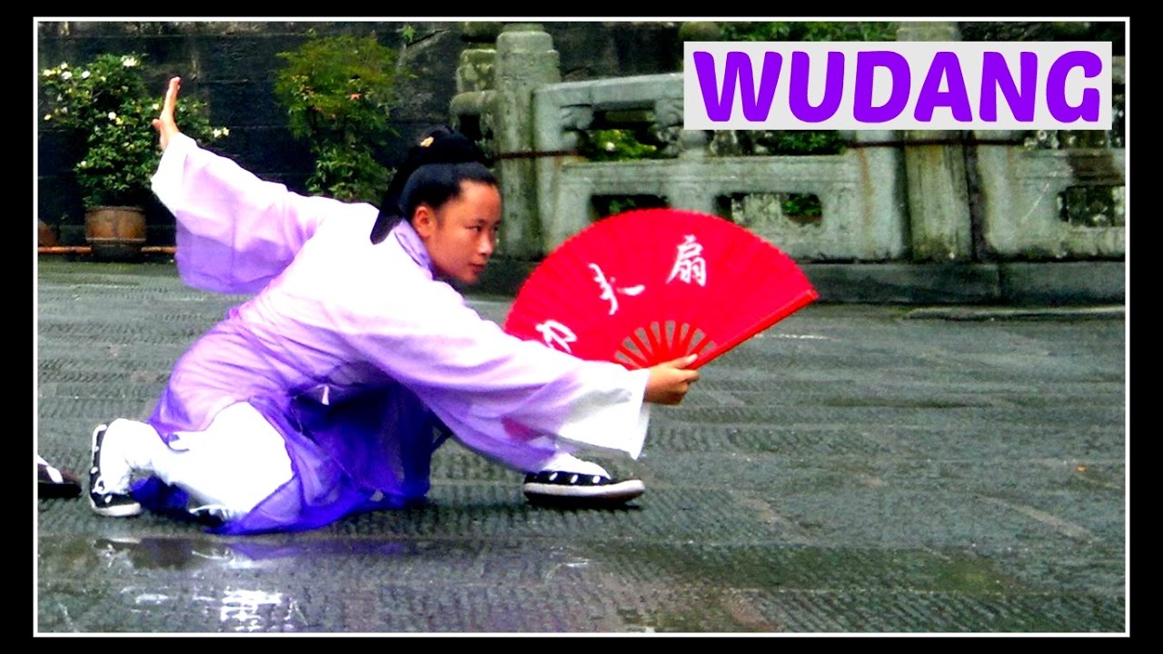 WUDANG POWER FAN