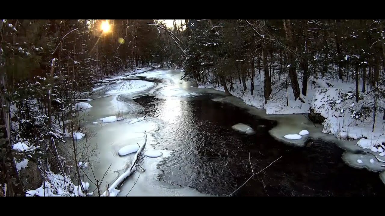 jjs jungle Winter Wildlife Compilation 2025-2026