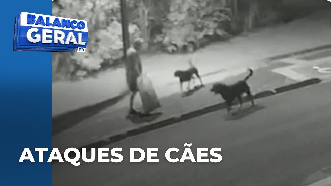 Ataques de Cães: veja as ações que podem ajudar a evitar acidentes com cachorros